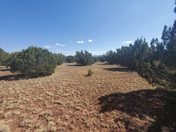 3rd image of 84 County Road 3134