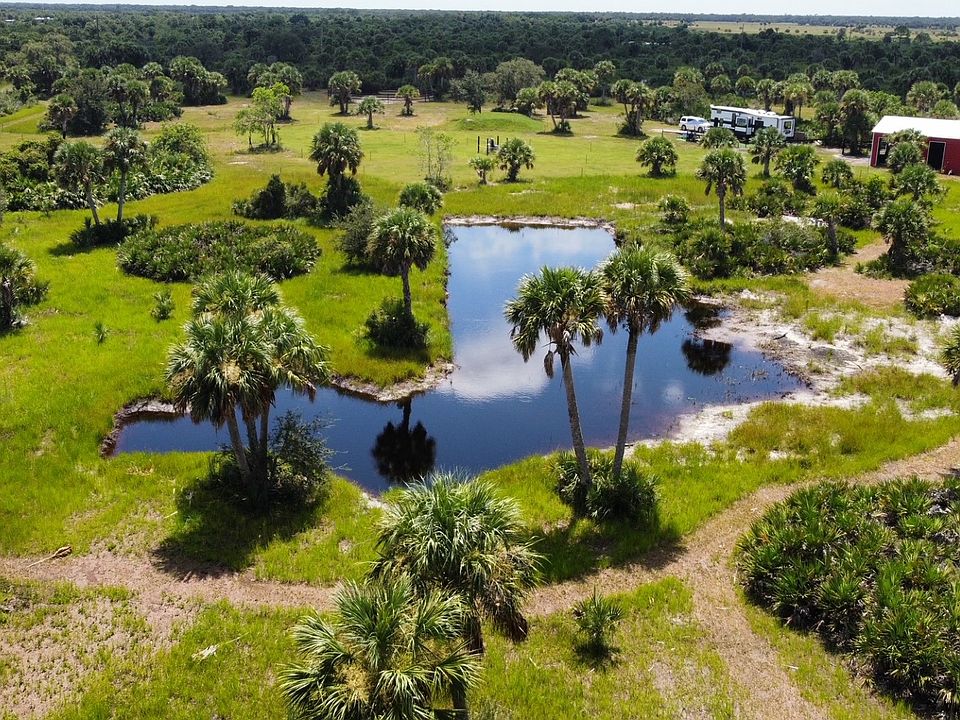 Horse pond oasis