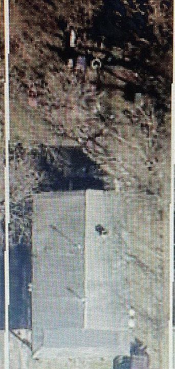1st image of 3344 Coleman Ave