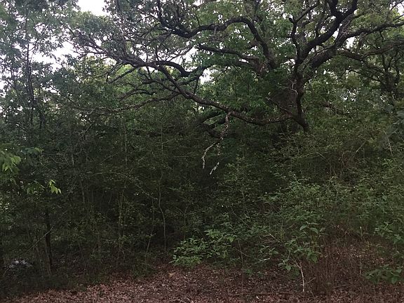 2nd image of 185 Lake Leaf Dr