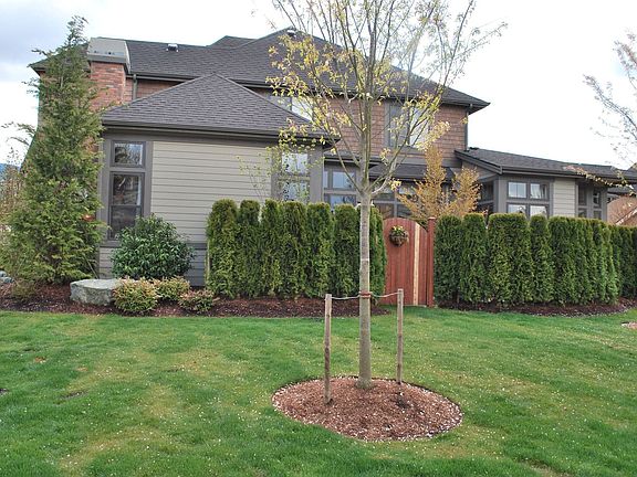 side of home-large corner lot