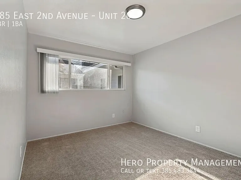 585 E 2nd Ave #20 — Photo 8