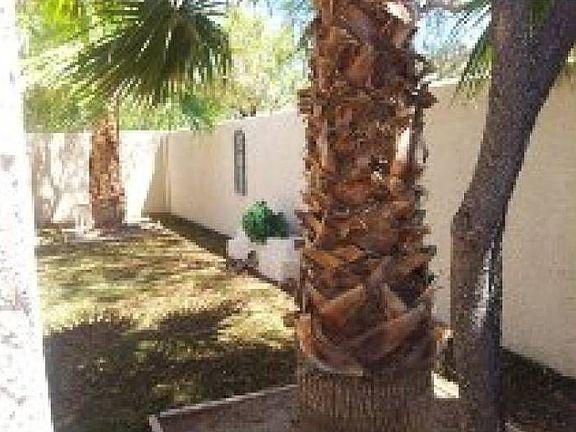 ** Walled in Backyard **