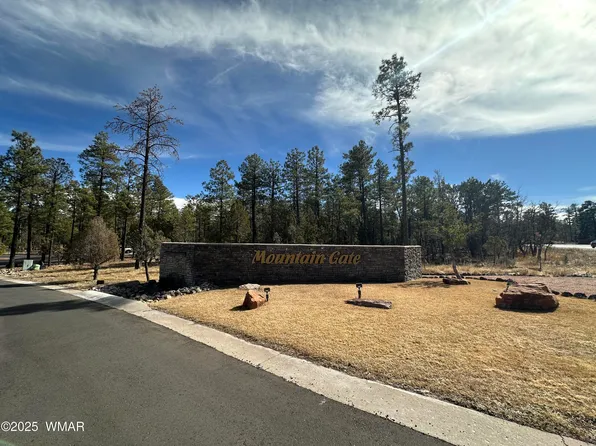 4981 Silver Mountain Dr, Lakeside, AZ 85929