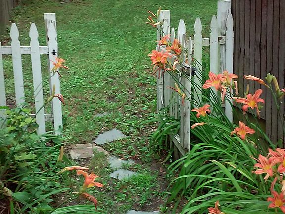 Entry to backyard