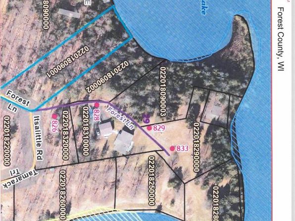  FOREST LANE #3, Pickerel, WI 54465