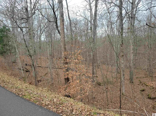 0 Parkview Dr #103, Eddyville, KY 42038