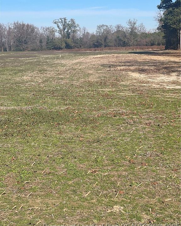 2nd image of Tobacco Rd