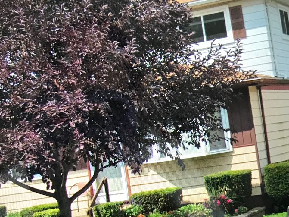 2nd image of 7474 Katherine St