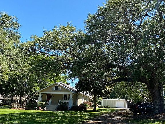 Two Large Oak Trees in Yard