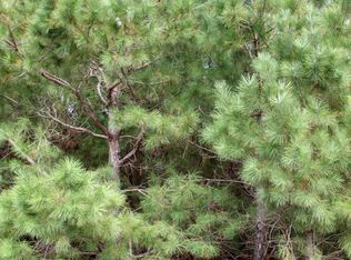 Johnsville Rd, Smoaks, SC 29481