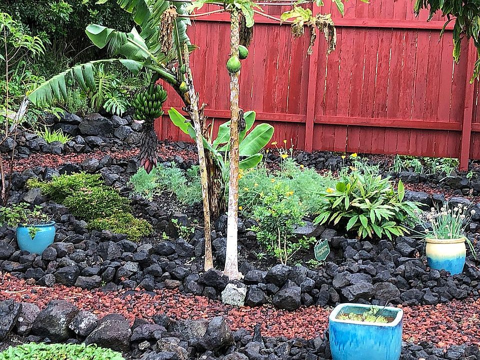 Front yard view from house