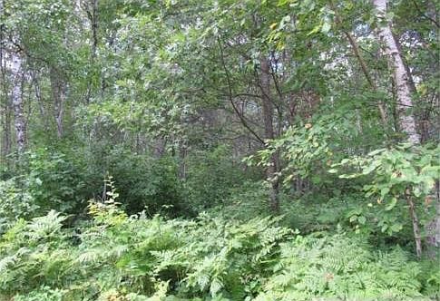 4th image of Tbd Pondview Ln