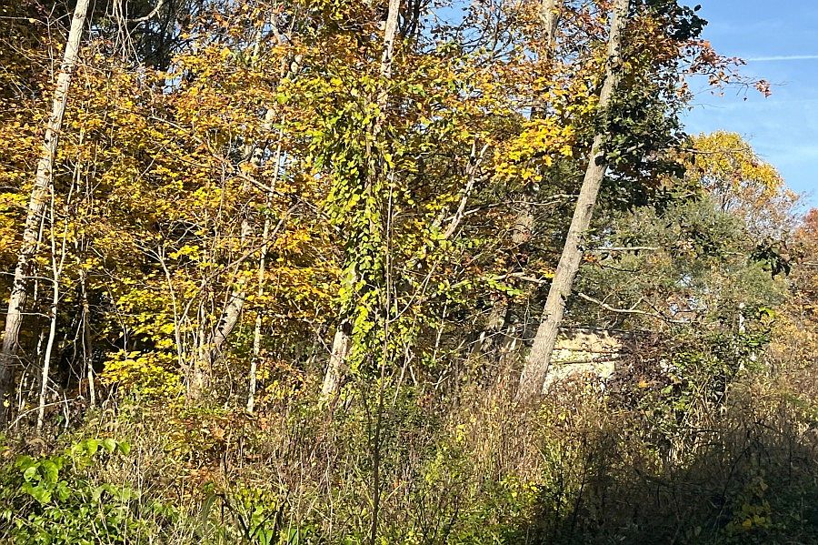 1st image of 1210 E County Road 400 S
