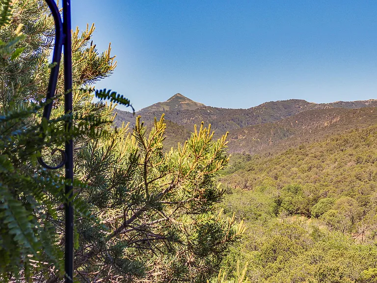 269 Nogal Canyon Rd — Photo 17