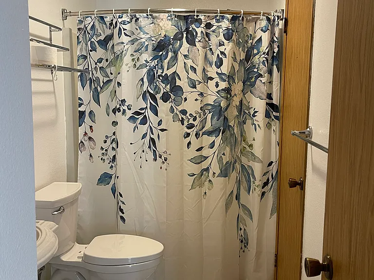 Bathroom from hallway door