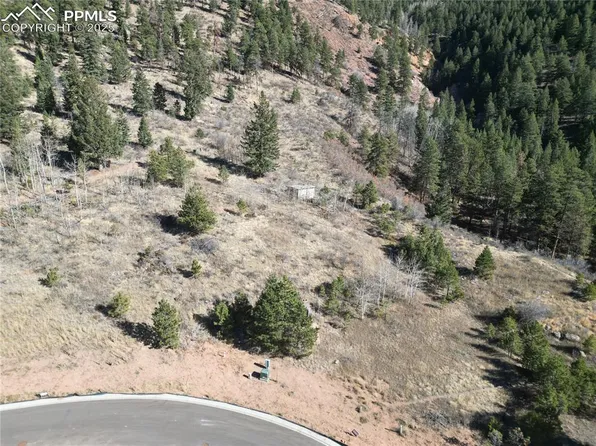 1375 Blue Haven Pl, Woodland Park, CO 80863