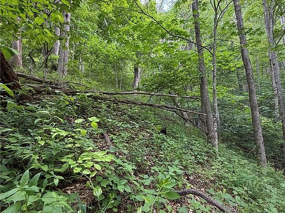5th image of TBD Ben Bolen Road