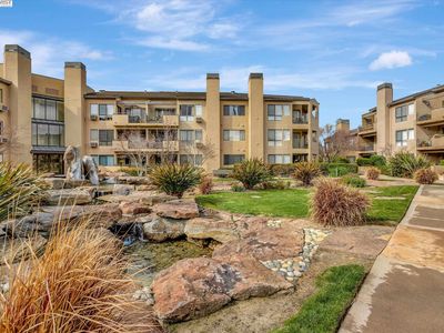 39206 Guardino Dr APT 209, Fremont, CA, 94538
