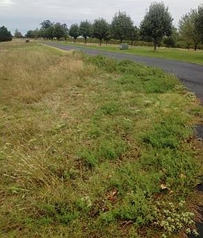 4th image of Greystone Dr