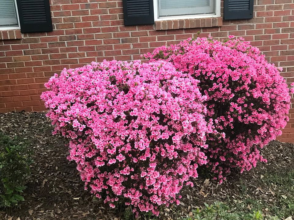 2nd image of 550 Grimes Pl