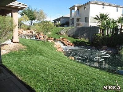 View from back windows