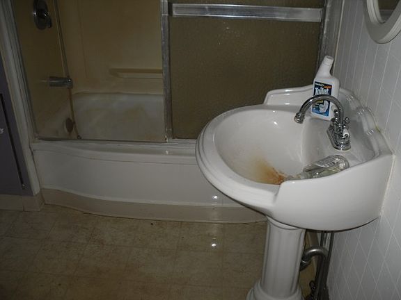 3rd image of 319 Somonauk St