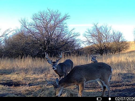 5th image of 0 92nd Rd