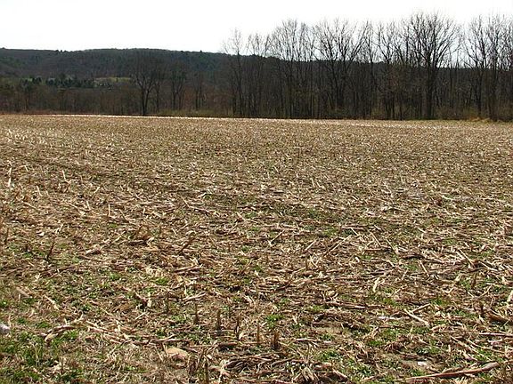 4th image of 0 Fredericks Grove Rd