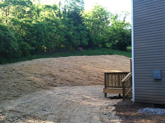 Private back yard -grass in in now