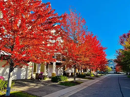 15570 Eagles Nest Way — Photo 4