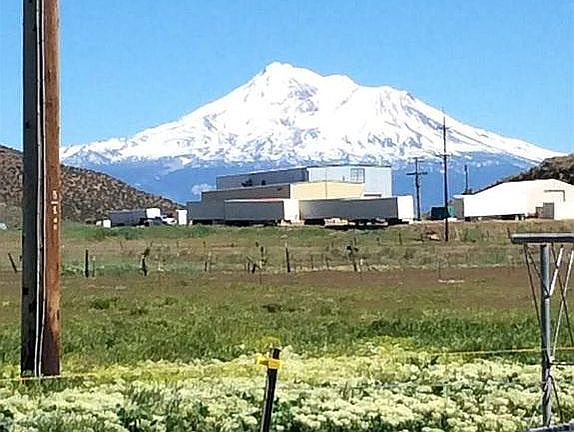 Can see from the house 