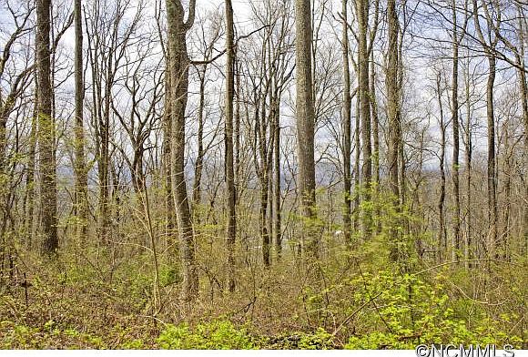 1st image of 99999 Old Forest Dr