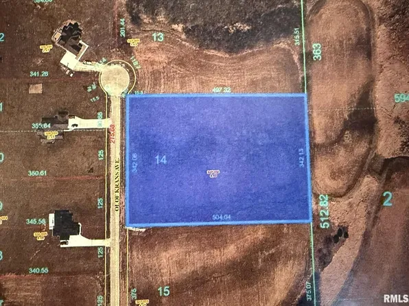 2659 Olof Krans Ave, Galva, IL 61434