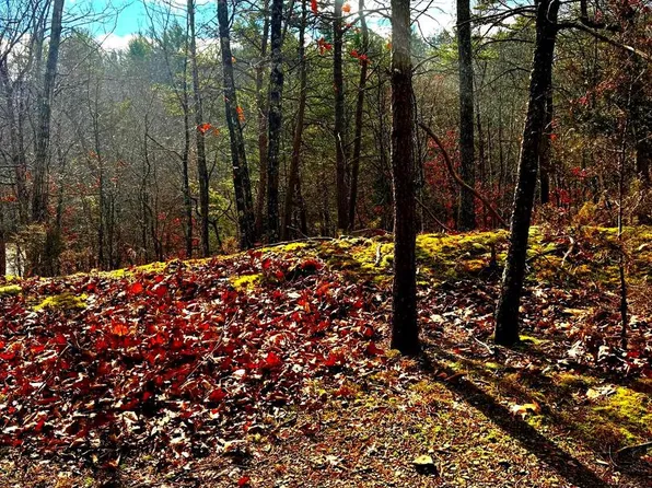 King St, Basye, VA 22810