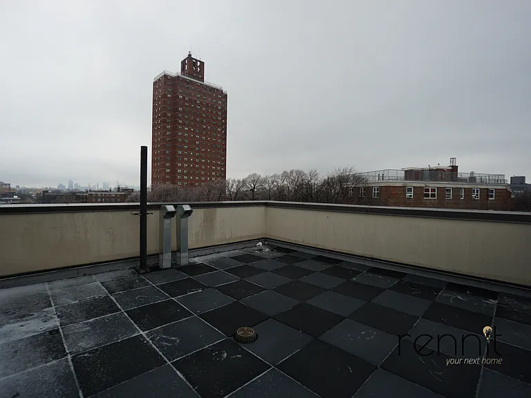 1772 Bergen St #3A — Photo 12