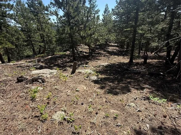 11548 Overlook Drive, Golden, CO 80403