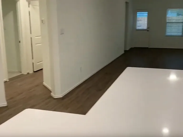 3312 Dusted Daisy St — Photo 10