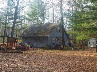 9793 S Rebecca Rd, Baldwin, MI 49304