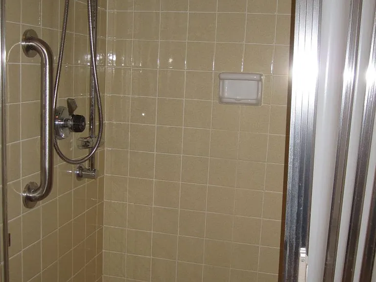 Master bath shower