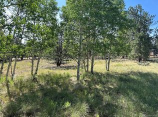 519 Hayhook Way LOT 250, Hartsel, CO 80449