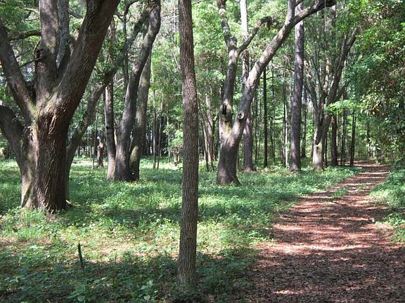 5th image of Pisgah Ln