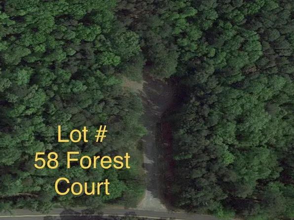 58 Forest Ct, Montross, VA 22520