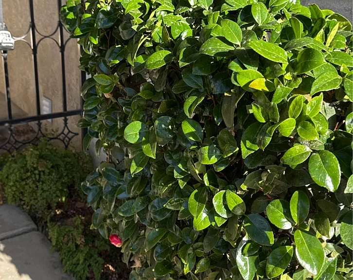 3200 El Encanto Ct #1 — Photo 24