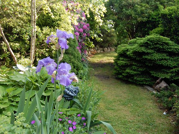 spring walk side of home