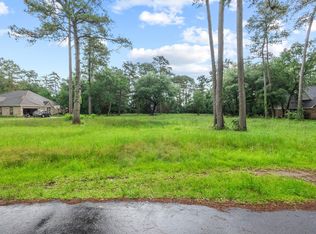22610 Trailwood Ln, Tomball, TX 77375