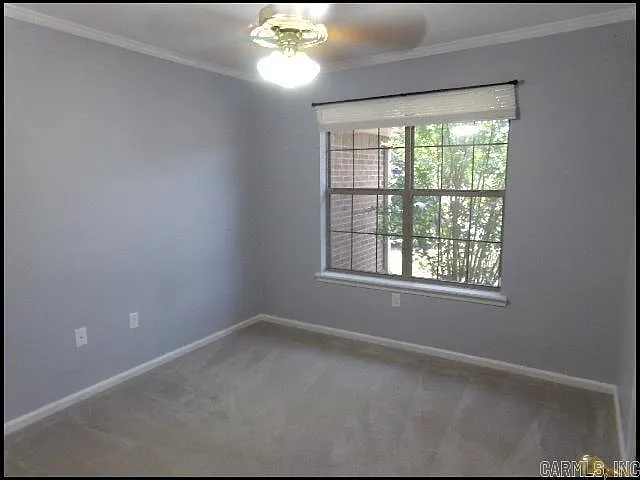 1405 Appalachain Dr — Photo 9