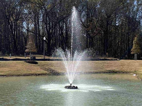 5th image of 105 Magnolia Park Dr