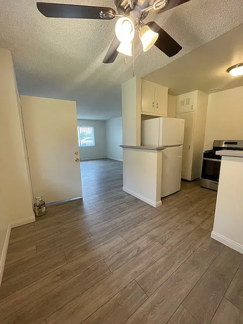 Lisa Manor — Photo 2