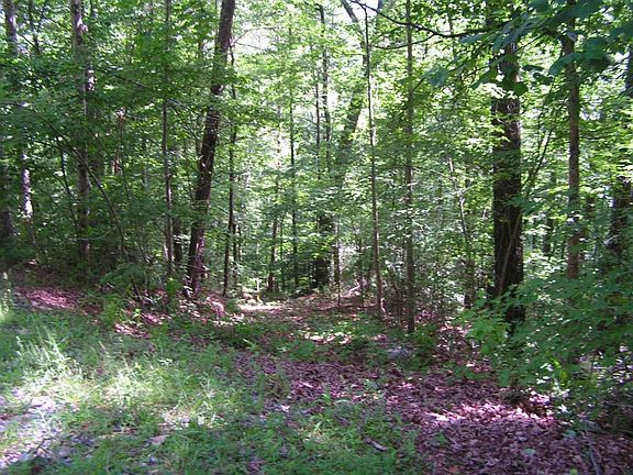 3rd image of 52-53 Wildwood Parkway
